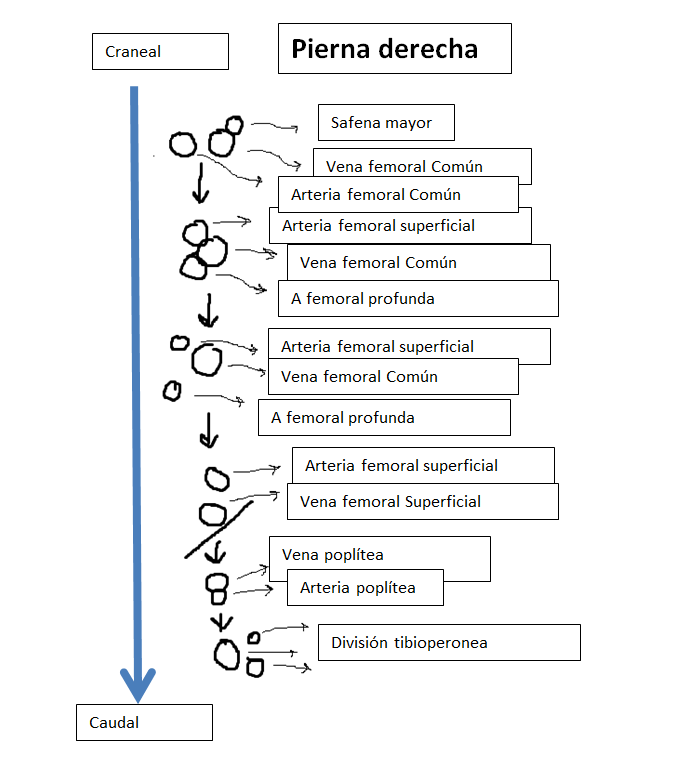 comunicaciones